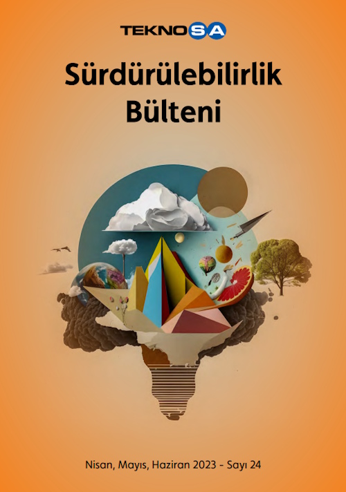 Bülten 24