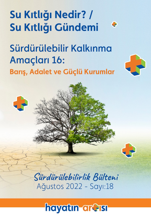 Bülten 18