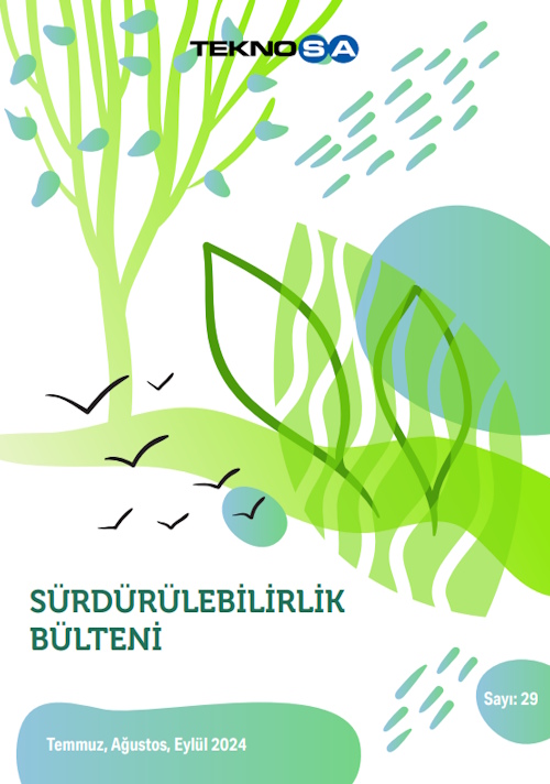 Bülten 29