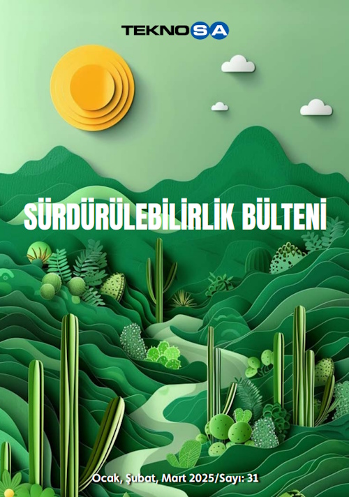 Bülten 31